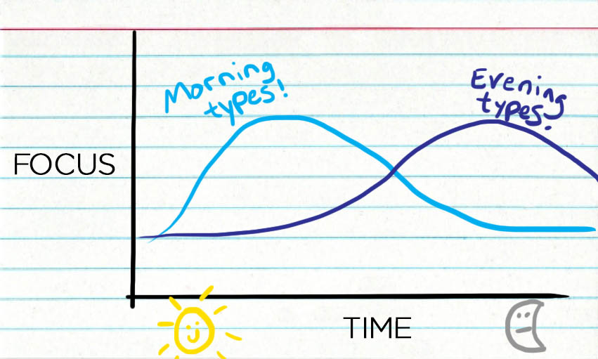 Hoe je beter kan presteren met behulp van je chronotype