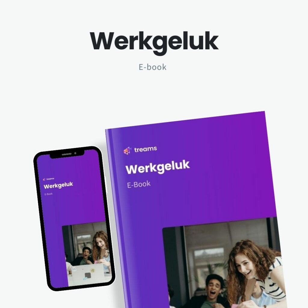 E-book: werkgeluk